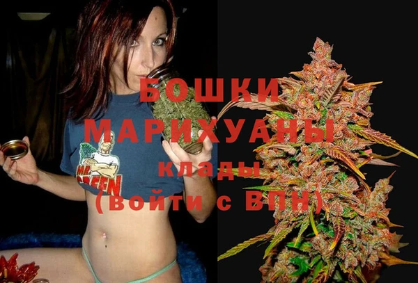 герыч Ельня