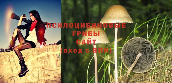 экстази Елабуга
