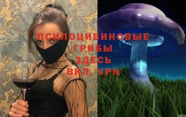 герыч Ельня