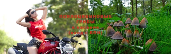 экстази Елабуга