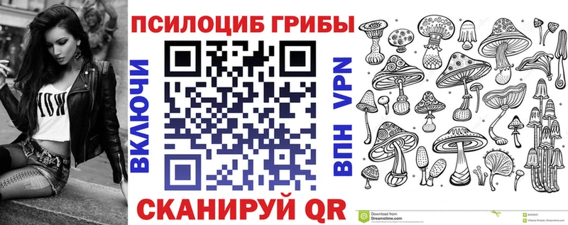 Псилоцибиновые грибы Cubensis  Купить  Барабинск 
